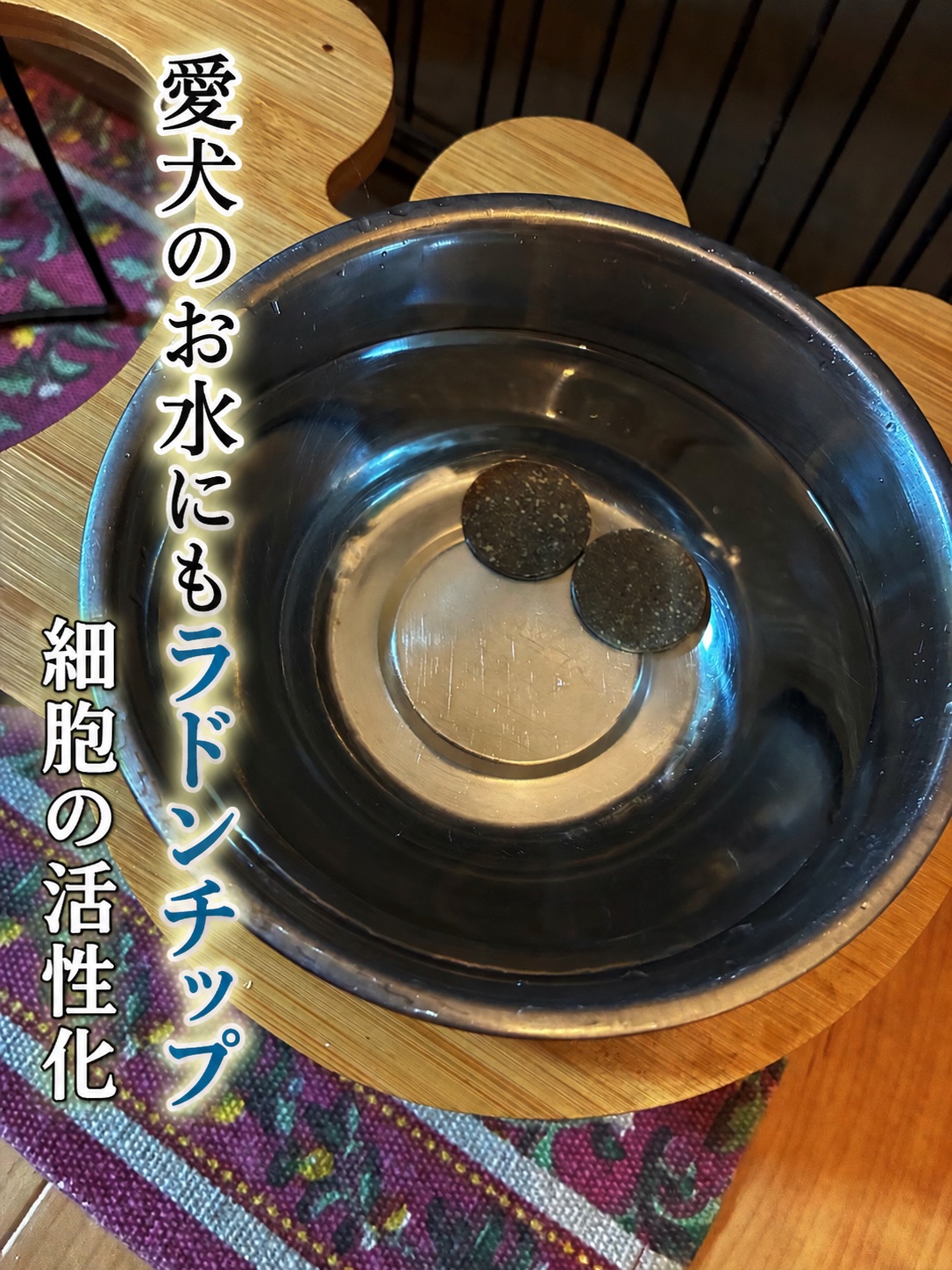 ダウンロード